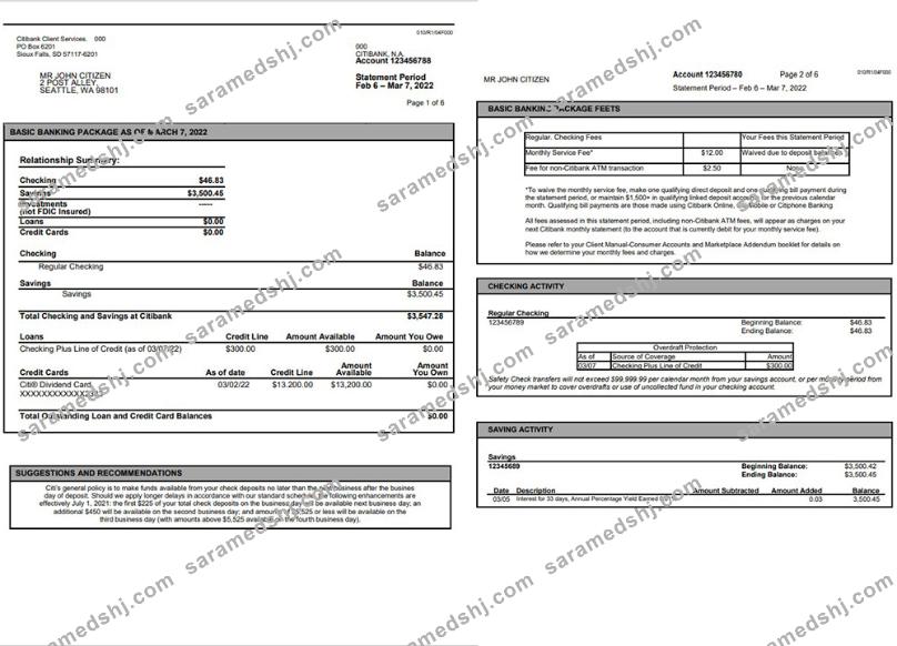 Australia Citibank Bank Statement